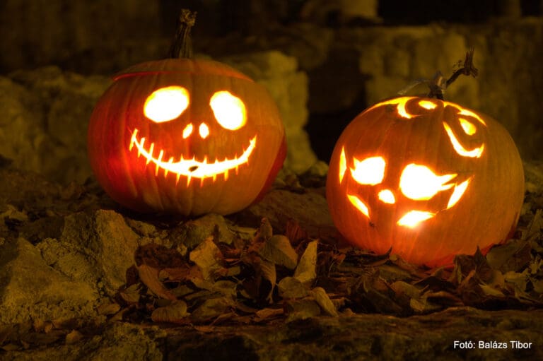 Svekkelse av lakseprisen inn mot Halloween-helgen