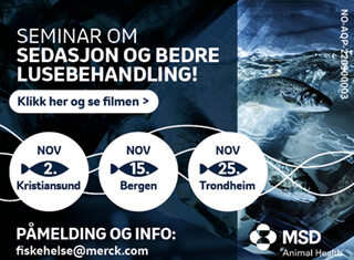 Banner seminar sesasjon 320x250_72dpi