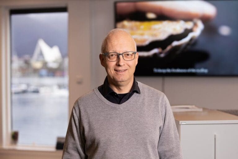 Overrasket over fortsatte rekordpriser