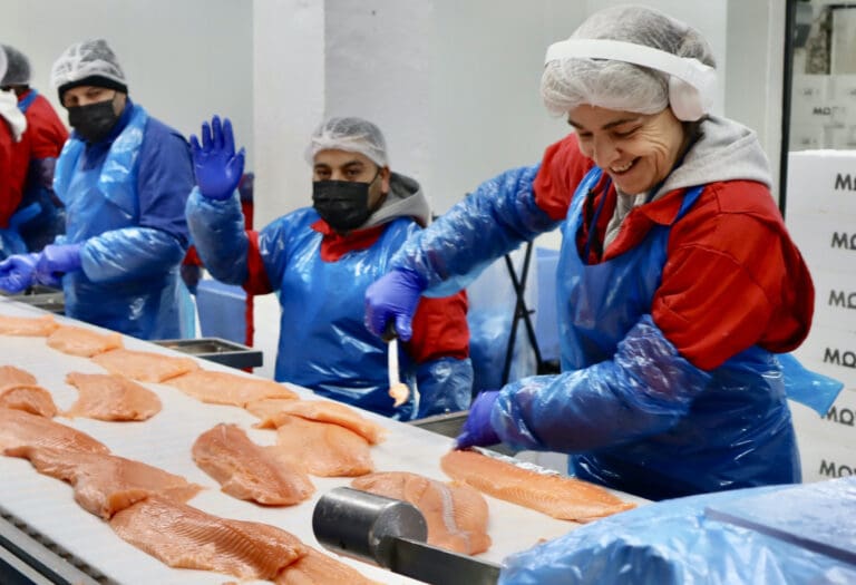 Manko på slaktefisk idet lakseprisen setter ny “all time high”