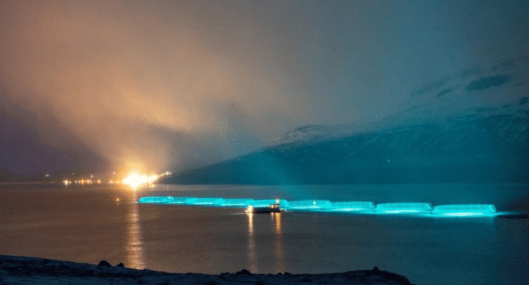 Slaktestopp preger Ice Fish Farm