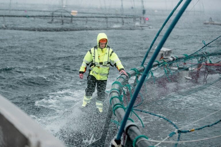 Måsøval tapte 41,9 millioner kroner på driften i tredje kvartal