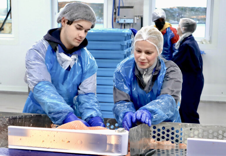 Skrur sammen et flerkulturelt team på filetfabrikken i Nærøysund
