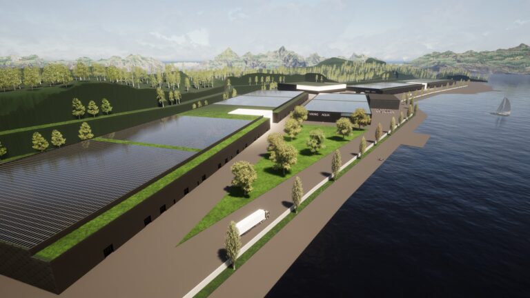 Viking Aqua nedskalerer: Starter med 5.600 tonn postsmolt – fullutbyggingen satt på is