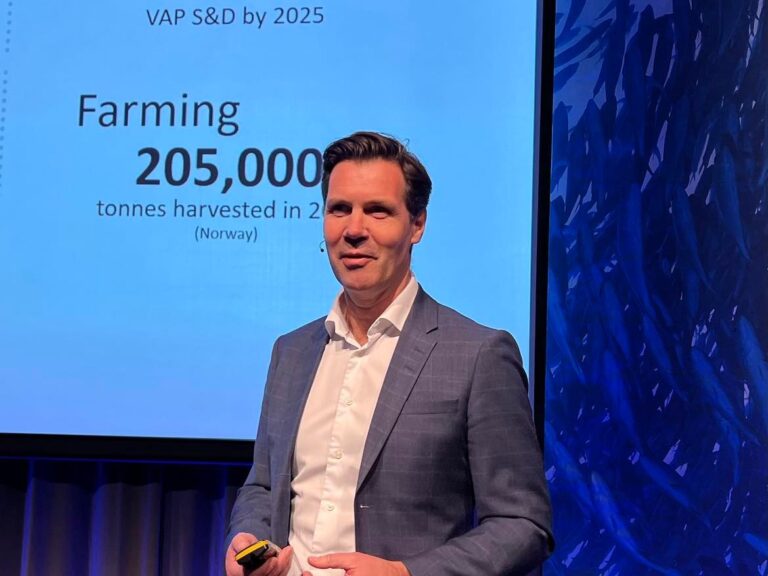 &laquo;Relief rally&raquo; i Lerøy: Sterke foredlingsresultater blåser opp markedsverdien med ti prosent