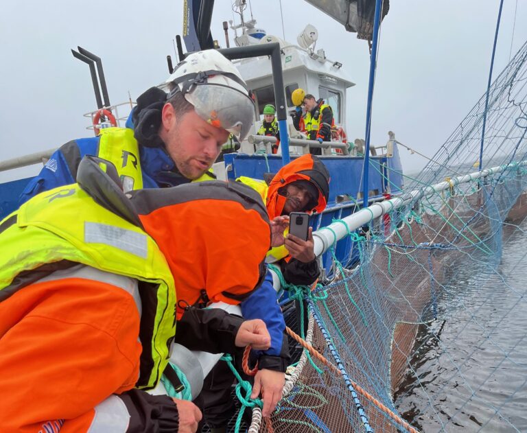 Ny strategi: Garware henter folk fra Aquastructures, Mowi og Lerøy