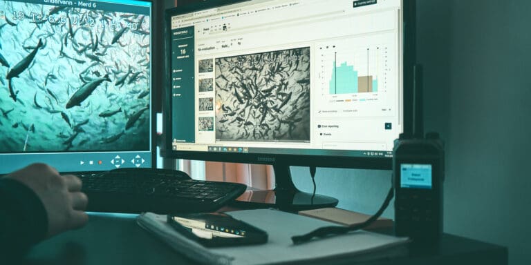 Bluefront Equity kjøper 60 prosent av Spillfree Analytics
