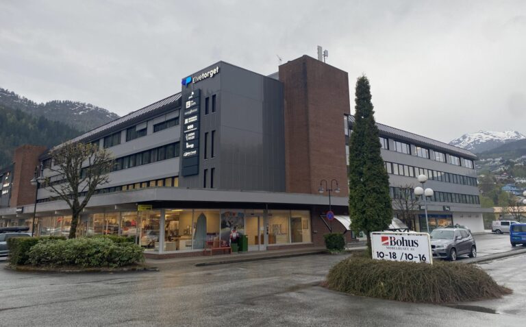 Revisoren til Arne Geirulvs settefisk-konsern har trukket seg