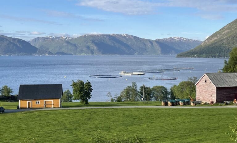 Osland Havbruk er på beina igjen etter havariet