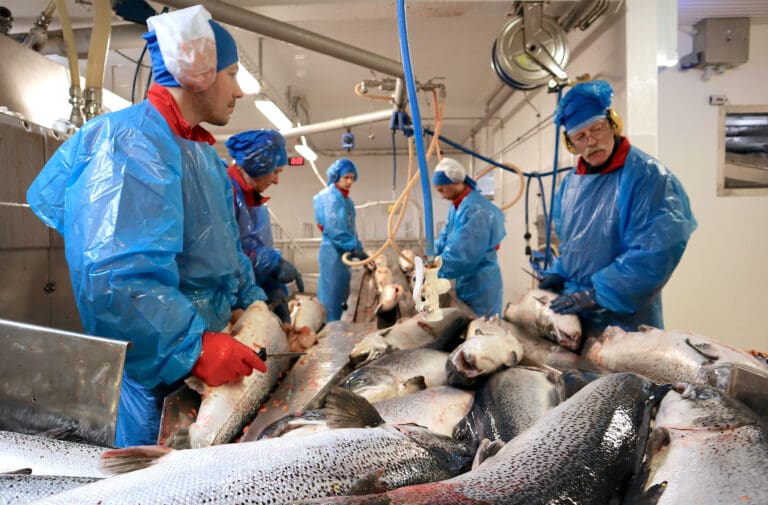 Vil endre permitteringsreglene i fiskeindustrien