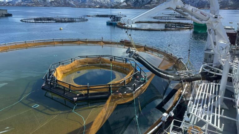 Cermaq tar ett ekstra utsett av fisk i iFarm