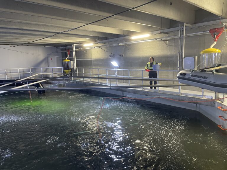 Smoltleveranse dro opp resultatet for BioFish