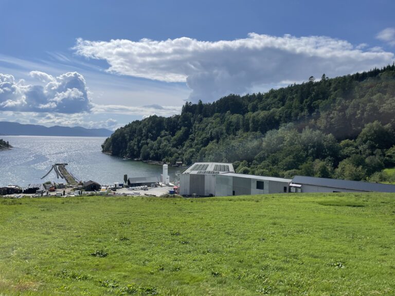 Landet kontrakt for levering av 150.000 halvkilos postsmolt