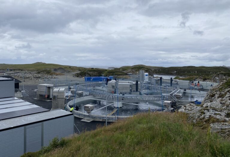 Bue Salmon har fått konsesjon for 50.000 tonn i Fjaler