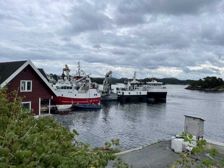 Samba Marin forbedret driften sin, men ser skyer på himmelen