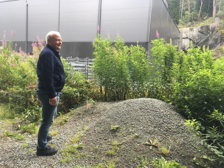 Inka vil utvide fryselageret, men opplever byråkratiet som en brems: – Kunne halvert utslippene