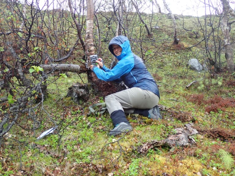 Forsker på grensen til Russland: – Vil se om bjørnen spiser pukkellaks