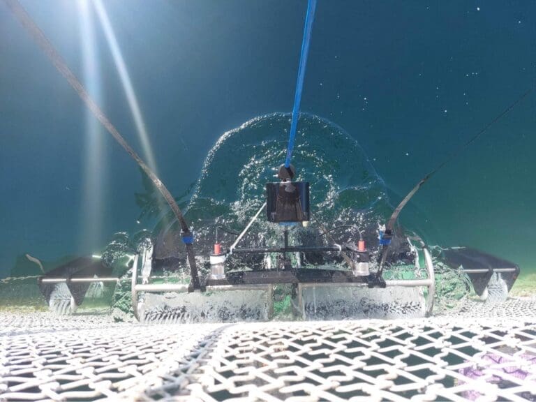 Tech-duo rengjør nøtene med vaskerobot på havmerden “Ocean Farm 1”
