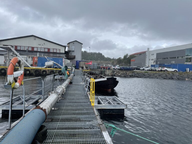 – Jeg vet hvem jeg har solgt fisken til