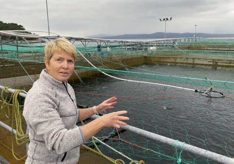 Slik har Marø Havbruk blitt en «stor» oppdretter selv om de er liten