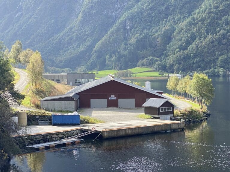 Hyen Fisk økte omsetningen med over 30 prosent