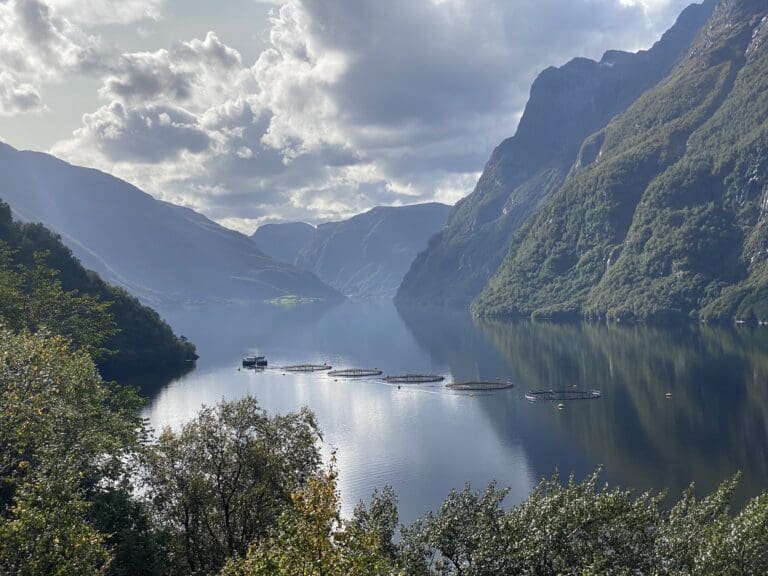 70 millioner kroner i utbytte til Nordfjord Laks-eierne