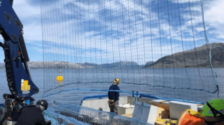 Strømgjerde-avtale mellom Mowi og Harbor
