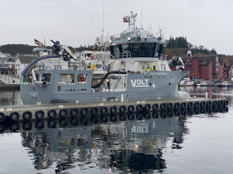 Nær omsetningsdobling for Volt Harvest : – Vi forventer et mye bedre resultat i år