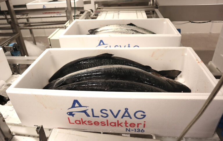 Raser etter NRK-dokumentar: – Etikettene er forfalsket