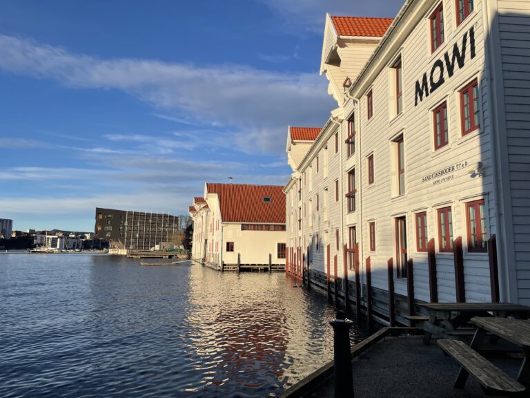 Dette venter analytikerne av Mowis siste kvartal