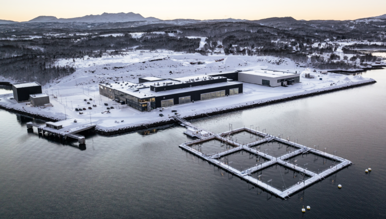 KMC Properties: – En sterk plattform for fortsatt vekst