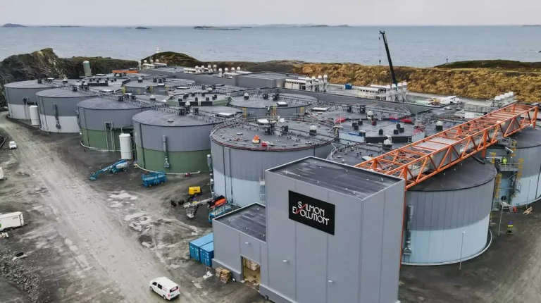 Beskjeden emisjonsrabatt da Salmon Evolution hentet 365 millioner kroner