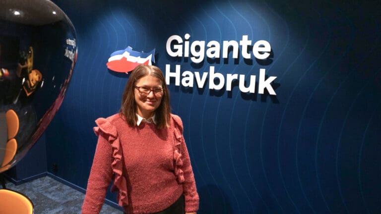 Gigante ville fylle festrommet med «eget avfall»