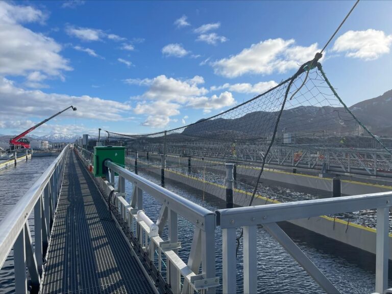 Oslo Børs straffer Gigante Salmon for innside-glipp