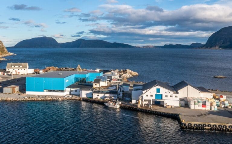 Inspeksjon fra Mattilsynet skapte mye styr for FineFish