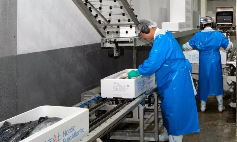 Nordic Aqua Partners ser produksjonskostnader på 87 kroner kiloet i Kina