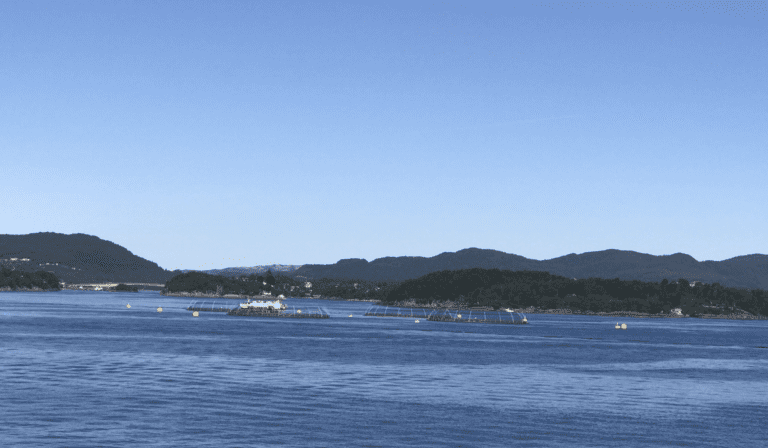 ILA påvist hos Lerøy i Bjørnafjorden