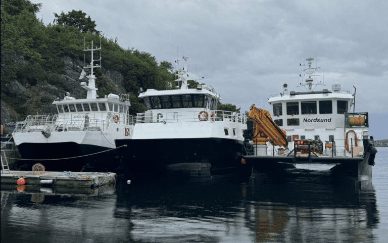 Sjåsund Marine med kraftig vekst i 2025