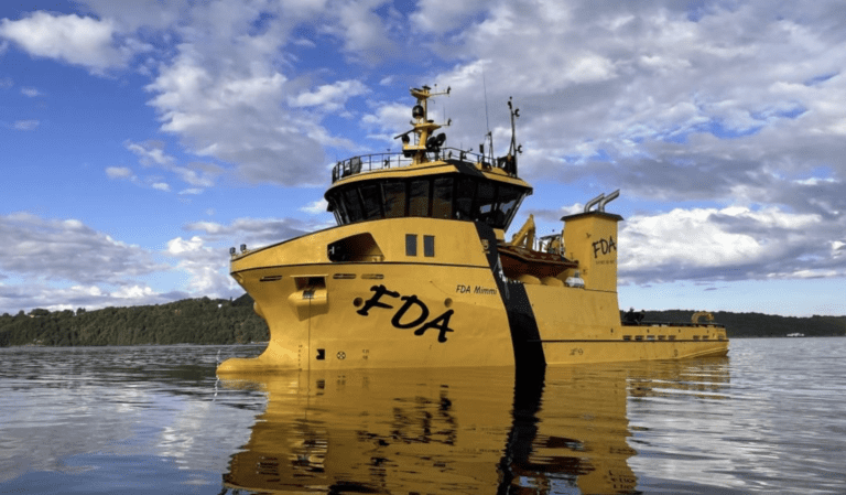 “Mimmi” og søstrene seilte inn rekordomsetning for FDA
