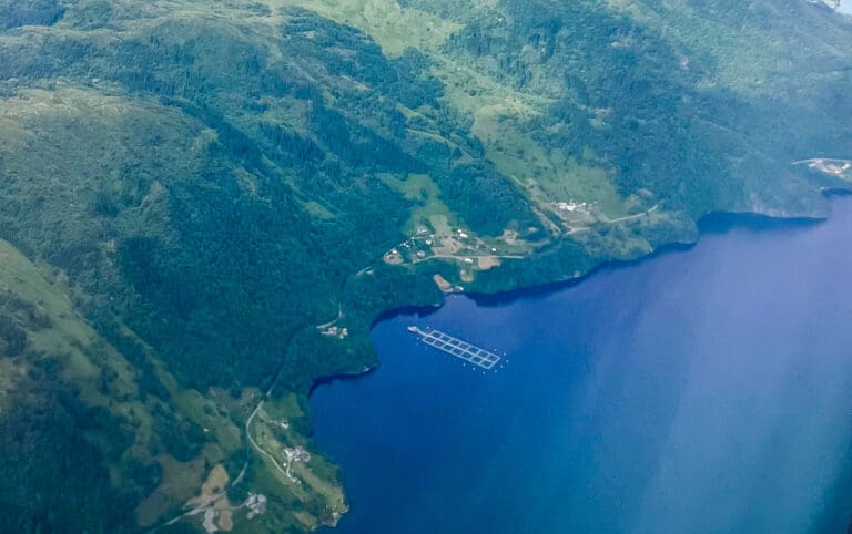Miljødirektoratet: Fiskeoppdrett klart største kilde til utslipp i vestlandsfjordene