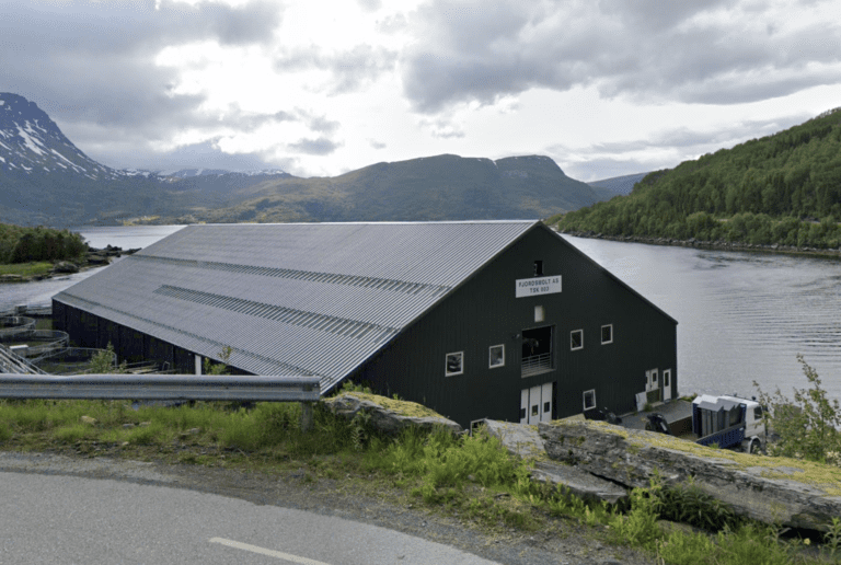 Omorganisering ga resultatdobling for Fjordsmolt