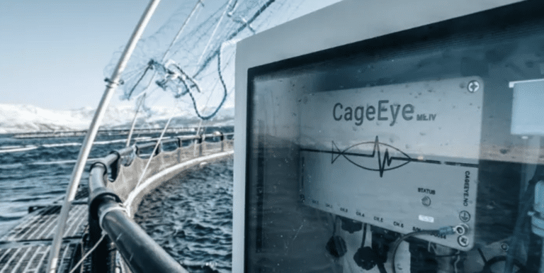 Kostbar ryddejobb er unnagjort i CageEye