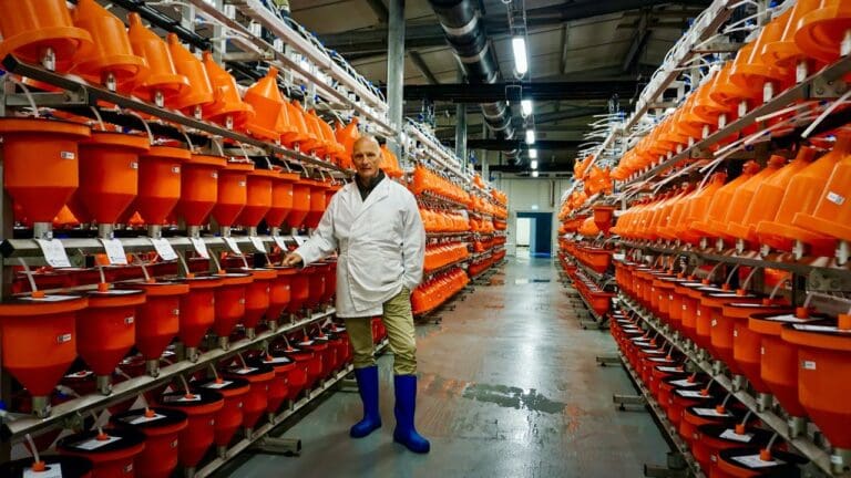 Se video: Herfra leverer Benchmark Genetics rogn til nesten 40 land
