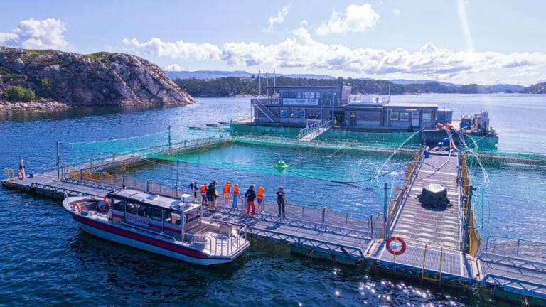 Engesund Fiskeoppdrett traff på biologien, men ikke på prisene