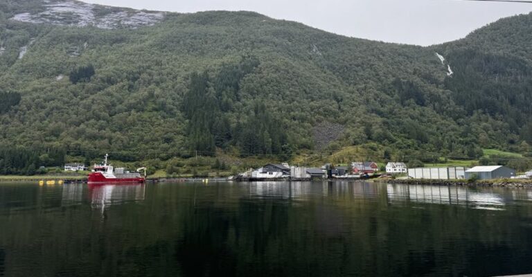 Økte slaktevolumer og en svak krone sendte lakseeksporten til nye høyder i august