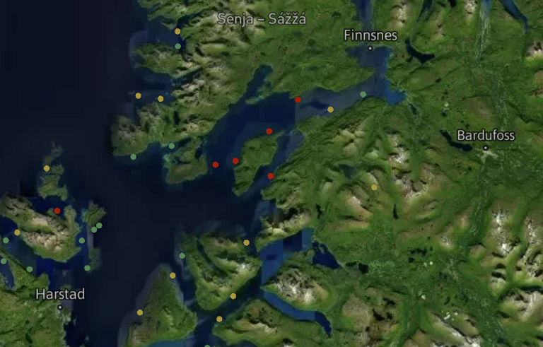 SalMar-lokalitet ved Senja hadde nesten seks voksne hunnlus per fisk