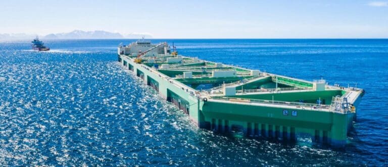Tar tap på 300 millioner: Nordlaks dropper utsett på havfarmen etter tap fra alger og sykdom
