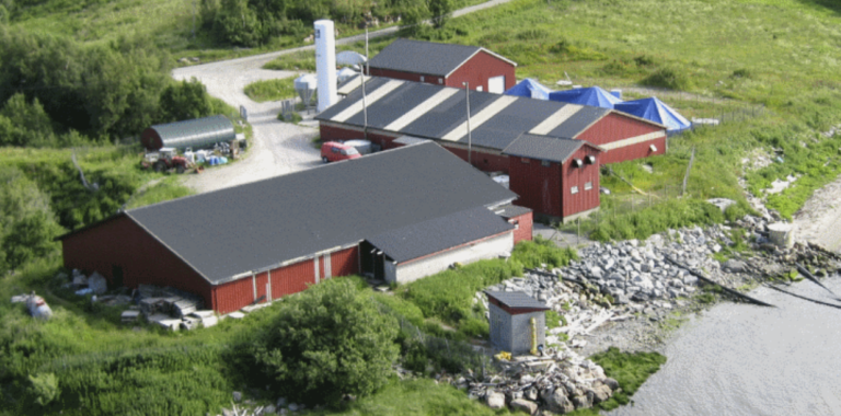 – En mørk sky henger over oss som produserer fisk i Norge