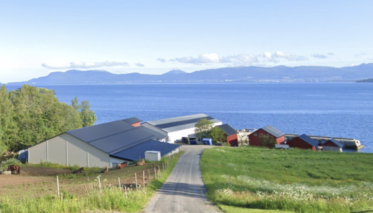 Produserte over en halv million fisk for mye i løpet av fire år