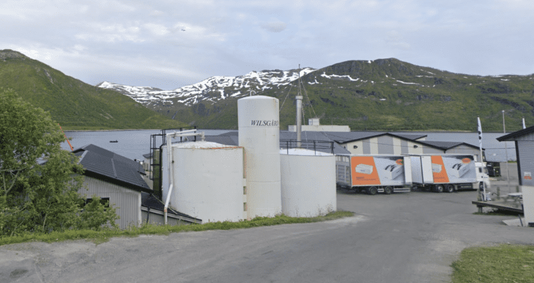 Salget skrumpet inn for Wilsgård Fiskeoppdrett: Eierne tar ut 100 millioner kroner i utbytte